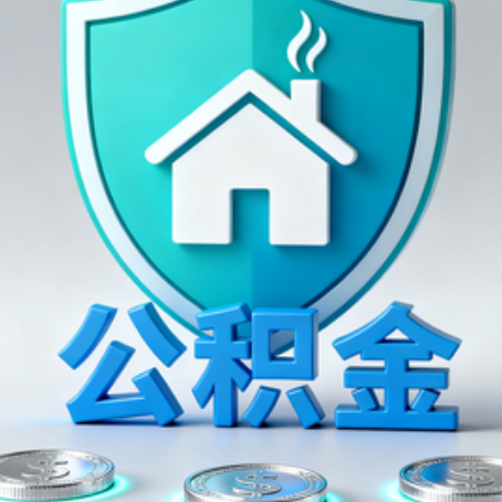 宁波公积金代办行业观察：谁在提供专业服务？